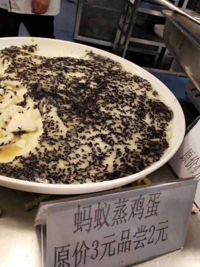 图片中展示了一盘名为“蚂蚁蒸鸡蛋”的菜品，白色瓷盘里装着乳白嫩滑的蒸鸡蛋，表面覆盖着密密麻麻的黑色蚂蚁，视觉冲击力极强。盘子前方立着一个金属价签，上面写着“蚂蚁蒸鸡蛋 原价3元 品尝2元”。背景可见食堂厨房环境，有不锈钢操作台和一位穿着白色工作服的工作人员的下半身。这张图以“黑暗料理”为噱头，通过将常见的蒸鸡蛋与非常规食材蚂蚁结合，营造出搞笑又令人惊讶的效果，引发观众对奇葩菜品的讨论。