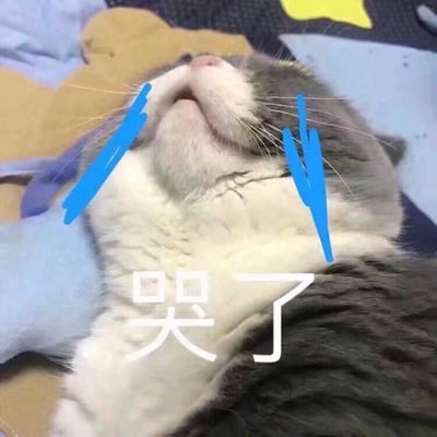 一只灰白相间的猫咪仰着头躺在柔软的垫子上，眼睛紧闭，嘴巴微张。图片上用蓝色线条在猫咪脸颊两侧画了类似眼泪的图案，下方配有白色的"哭了"文字，整体营造出一种委屈、伤心的可爱效果。