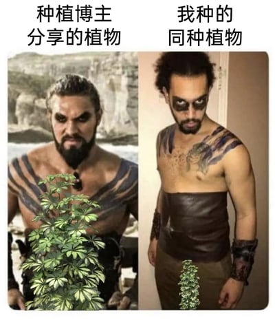 这是一张左右分栏的对比式搞笑梗图，左侧使用DC超级英雄电影《海王》中主角亚瑟·库瑞的官方剧照，角色身材壮硕、气场强大，身前搭配一株叶片翠绿、长势极为茂盛的绿植，上方配文“种植博主分享的植物”，呈现出植物被完美培育的理想状态；右侧则是一位网友模仿海王造型的cosplay照片，人物身材气质与原版角色差距明显，身前搭配一株矮小瘦弱、长势不佳的同款绿植，上方配文“我种的同种植物”。整张图通过强烈的视觉反差，生动调侃了普通园艺爱好者在种植植物时，总是无法达到博主分享的理想状态，最终“翻车”的真实日常，充满趣味性和共鸣感。