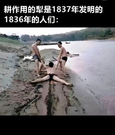 这张梗图以搞笑的口吻展现了“科技进步前的人类”场景：图中有三个人在河滩泥地上，其中一个人以极度夸张的大字形趴在地上，两边各有一人拖他向前滑行，在他身后留下两条深深的沟壑。上方配字：“耕作用的犁是1837年发明的 1836年的人们：”喻指没有犁的时候只能用极为原始甚至荒唐的方法“开垦土地”。画面整体幽默夸张，用行为模拟后现代“人工犁地”。

没有特别明显的双关、谐音梗，但通过极端行为夸张的对比表达了“技术革新前的落后”。