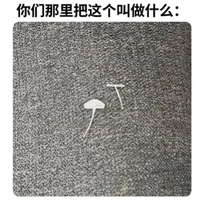 图片上方有黑色文字“你们那里把这个叫做什么:”，下方是灰色纹理背景上放置的两个白色塑料卡扣（可能用于固定线缆或物品）。整体为静态图文混排内容，通过展示日常小物件引发关于地域名称差异的互动讨论。