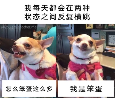 这是一张左右拼接的图文混排表情包，主体为同一只名叫LILY LU的吉娃娃。图片顶部配有文字“我每天都会在两种状态之间反复横跳”，左侧的吉娃娃表情愤怒烦躁，张嘴露齿，下方配文“怎么笨蛋这么多”，呈现出对周遭事物不满、吐槽的情绪；右侧的吉娃娃表情乖巧憨态，嘴角上扬，下方配文“我是笨蛋”，展现出自我否定、略带自嘲的状态。整张图通过宠物的强烈表情反差，精准刻画了当代人时而烦躁吐槽他人、时而自我怀疑否定的情绪反复横跳的日常，极易引发大众共鸣。