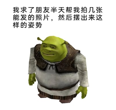 这是一张图文结合的搞笑梗图，上方配文“我求了朋友半天帮我拍几张能发的照片，然后摆出来这样的姿势”，下方是建模崩坏的史莱克形象：它身体比例失调，手脚姿势局促僵硬，脸上带着勉强的假笑，生动地还原了人们为了拍出好看的照片，努力摆姿势却变得怪异尴尬的状态，用夸张的卡通形象放大了日常拍照时的窘迫感，让人产生共鸣的同时觉得好笑。