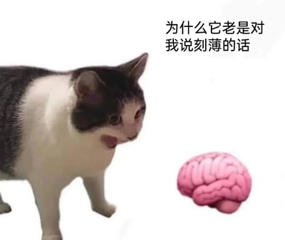 暂无描述