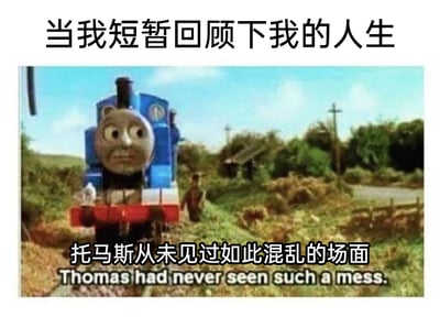 这是一张用于自嘲的网络梗图，上方配文“当我短暂回顾下我的人生”，中间是英国动画《托马斯和朋友》里的主角托马斯小火车，它眉头紧皱，露出震惊、难以置信的表情，身处一片杂草丛生、轨道荒废、环境杂乱无章的野外场景中，背景里还有一个模糊的人物和破旧的小屋、围栏。下方配文“托马斯从未见过如此混乱的场面”，用托马斯这个常年和规整铁路打交道的角色的视角，来比喻自己回顾人生时，发现生活充满了混乱和无序，以幽默夸张的方式抒发对自己人生状态的调侃，引发有类似感受的人的共鸣。