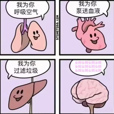这是一幅经过二次创作的四格卡通漫画，采用拟人化的表现方式：第一格微笑的肺说“我为你呼吸空气”，介绍自己的呼吸功能；第二格的心脏笑着说“我为你泵送血液”，说明自身的血液循环作用；第三格的肝脏同样面带微笑，称“我为你过滤垃圾”，体现代谢过滤的功能；第四格的大脑则在对话框里重复刷屏“女同女同女同女同”，与前三格器官的正经功能介绍形成强烈反差，用这种错位感制造沙雕搞笑的效果，调侃部分群体满脑子都是特定内容的状态。
