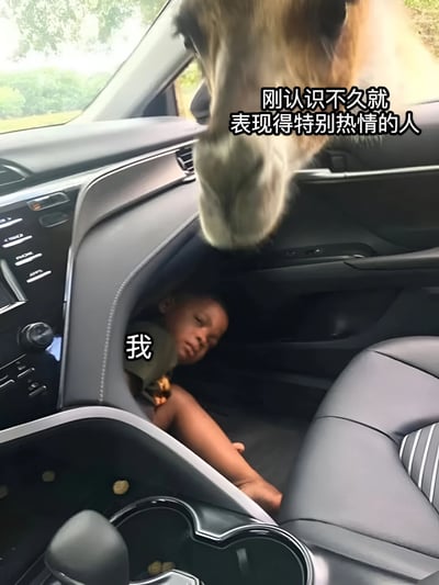 图片中一匹马的头部伸进汽车驾驶座旁，显得热情亲近；车内，一个小孩蜷缩在驾驶座下方的脚坑中，表情无奈。马的上方配有文字“刚认识不久就表现得特别热情的人”，小孩旁边标注“我”，通过幽默对比展现面对过度热情者时的社恐心理。