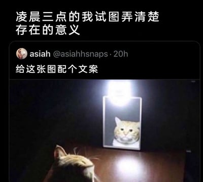 这是一张引发共鸣的情绪梗图，画面分为上下两部分，上方配文“凌晨三点的我试图弄清楚存在的意义”，精准戳中人们在深夜容易陷入深度自我思考的情绪；下方是一条海外社交平台的推文，用户asiah发布内容“给这张图配个文案”，推文配图是一只猫咪在昏暗环境中盯着屏幕里的自己，屏幕的光打在猫咪脸上，猫咪的迷茫神态和审视自我的动作，完美呼应了上方文字里深夜思考存在意义时的困惑、茫然状态，用猫咪的趣味画面具象化了人类深夜emo时的精神状态，容易让网友产生共鸣。