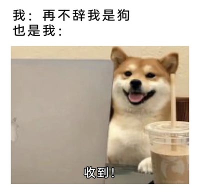 图片上方文字为“我：再不辞我是狗 也是我：”，下方是一只柴犬从墙边探出头，表情开心，嘴巴张开露出舌头，前爪搭在桌上，旁边放着一杯带吸管的奶茶，图片底部配文“收到！”。通过“说辞职却又答应”的反差，幽默展现打工人的真香现场，其中“再不辞我是狗”与柴犬形象形成双关，增强搞笑效果。