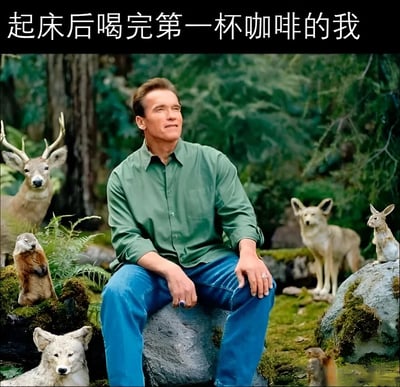 图片中阿诺德·施瓦辛格穿着绿色衬衫和蓝色牛仔裤，平静地坐在森林中的岩石上，周围环绕着鹿、土拨鼠、狼和兔子等动物，表情满足而放松。图片上方配有文字“起床后喝完第一杯咖啡的我”，通过施瓦辛格与自然和谐共处的场景，幽默地表现了喝完咖啡后神清气爽、感觉与世界融为一体的状态。