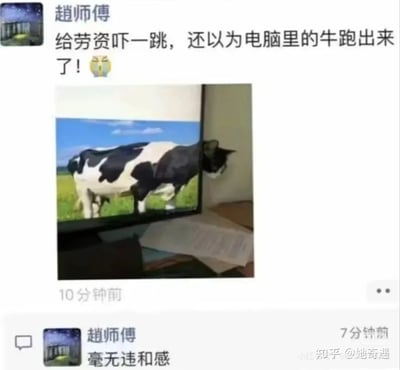 这是一张类似微信朋友圈的社交媒体截图，用户“趙师傅”发布了一张充满趣味巧合的实拍照片：一只黑白花色的猫咪将头部凑在显示着奶牛画面的电脑屏幕侧边，猫咪的头部与屏幕里奶牛的身体完美衔接，形成了仿佛电脑里的奶牛从屏幕中跑出来的视觉错觉。趙师傅的第一条配文写道“给劳资吓一跳，还以为电脑里的牛跑出来了！😱”，10分钟发布动态后，7分钟前他又补充评论“毫无违和感”，生动地表达了看到这一巧合场景的反应，画面的视觉错位效果充满了搞笑感与趣味性。