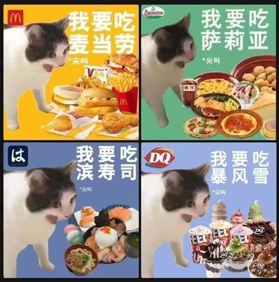 图片为四格拼接的搞笑表情包，每格均有一只黑白花色猫咪站在左侧，表情兴奋，嘴巴张开仿佛在尖叫。左上角分别有麦当劳、萨莉亚、滨寿司、DQ的品牌logo，右侧对应展示各品牌代表性食物（如麦当劳的汉堡薯条、萨莉亚的意面披萨、滨寿司的寿司拼盘、DQ的冰淇淋）。每格上方均有大字标题“我要吃[品牌名]”，并标注“*尖叫*”，整体通过猫咪急切的神态和统一的模板风格，幽默表达对不同快餐品牌的渴望。