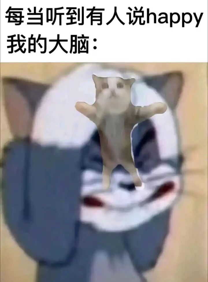 猫和老鼠