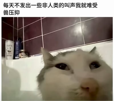 图片上半部分为黑色文字“每天不发出一些非人类的叫声我就难受 兽压抑”，下半部分是一只白色带灰色耳朵的猫咪在浴室中的特写。猫咪正直视镜头，背景可见深红色瓷砖墙面和边缘摆放的洗漱用品（如洗发水、沐浴露瓶）。整体通过猫咪的可爱形象与幽默文字结合，以拟人化的方式表达现代人需要释放压抑情绪的轻松心态。