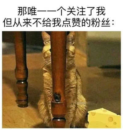 图片上方配有文字“那唯一一个关注了我但从来不给我点赞的粉丝：”，下方是一只橘色猫咪躲在木质桌腿后面，只露出两只眼睛和部分身体，正偷偷窥视着前方的一块黄色奶酪。猫咪的躲藏姿态与文字内容形成幽默呼应，仿佛在调侃那些默默关注却从不互动的粉丝，用拟人化的方式展现了社交媒体中常见的“潜水粉”现象，整体风格轻松诙谐。
