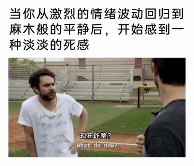 这是一张用来表达情绪状态的梗图，采用图文混排的形式。上方的文字“当你从激烈的情绪波动回归到麻木般的平静后，开始感到一种淡淡的死感”，精准概括了人们在经历大哭、愤怒等强烈情绪起伏后，陷入的一种空洞、麻木的精神状态；下方是美剧《费城永远阳光灿烂》的截图，图中的查理·凯利穿着写满字迹的脏白T恤，一脸迷茫疲惫，单手叉腰问出“现在咋整？What do now?”，这句台词将情绪麻木后，失去方向、不知道该如何继续的无措感具象化，让经历过类似情绪的人产生强烈共鸣。