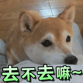 这是一张动态GIF图，由4个关键帧组成。画面中是一只棕色柴犬趴在浅色垫子上，背景为木地板。柴犬头部微微左右晃动，眼神专注，配合下方重复出现的绿色文字“去不去嘛~”，营造出一种可爱又略带撒娇的语气，仿佛在热情邀请对方一同前往某处。