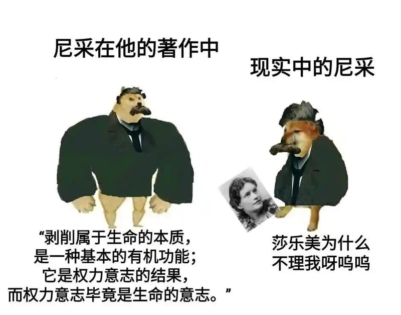 《权力意志》等哲学著作