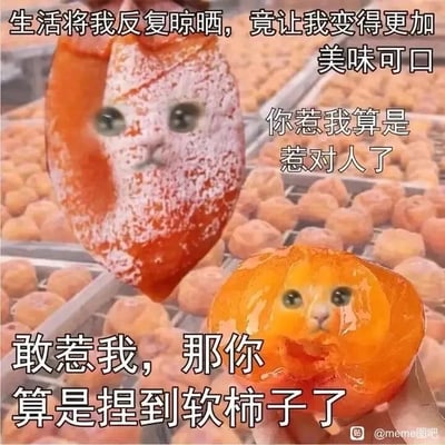 这是一张经过P图改编的静态搞笑表情包，画面中两个柿饼的头部被替换成了猫咪的脸。上方是带有白霜的晾晒好的柿饼猫，配文“生活将我反复晾晒，竟让我变得更加美味可口”“你惹我算是惹对人了”；下方是被手捏开的流心柿饼猫，配文“敢惹我，那你算是捏到软柿子了”。图片运用了“软柿子”的双关梗，“软柿子”既指被捏开的流心柿饼，也指代常被用来形容好欺负的人，通过这种反差感的创作，用幽默的方式表达了在生活的磨砺下，自己看似是“软柿子”好欺负，实则并不好惹的态度，兼具搞笑效果与生活情绪的表达。