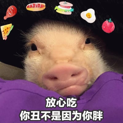 图片为一只宠物猪的特写，它有着粉粉的鼻子和浅色的绒毛，身上裹着紫色的衣物。猪的头顶上方添加了多个彩色卡通食物贴纸，包括烤鸡腿、热狗、汉堡、煎蛋、三明治和番茄。图片底部有一行白色文字配黑色边框：“放心吃 你丑不是因为你胖”。整体风格可爱幽默，通过小猪呆萌的表情与调侃式文字结合，营造出轻松搞笑的氛围，常用于朋友间的玩笑互动。