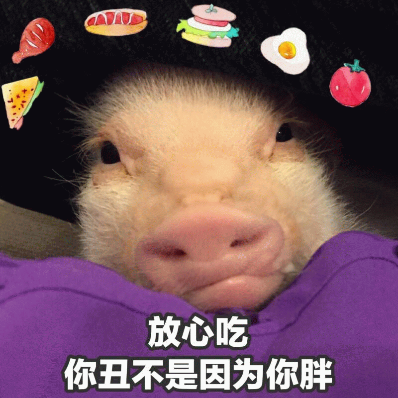 小猪安慰：放心吃，你丑不是因为胖