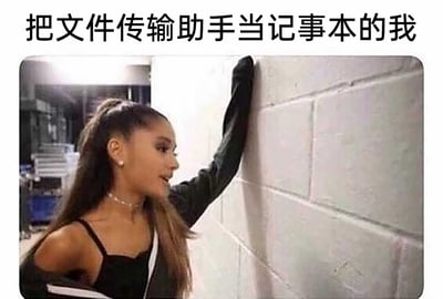 这是一张图文结合的梗图，上方配有文字“把文件传输助手当记事本的我”，图中是美国流行歌手爱莉安娜·格兰德，她单手扶着白色砖墙，身体侧靠，神态带着无奈又自嘲的感觉。这张图用来调侃当代很多人没有使用专门的记事本工具记录内容，而是习惯借助微信等软件的文件传输助手来临时保存文字、链接、文件等内容，将其当作临时记事本的日常行为，这种贴近大众生活的场景很容易引发网友的共鸣，是对日常软件使用习惯的有趣自嘲。