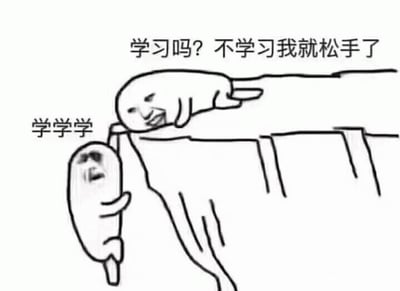 一张卡通风格的梗图，描绘了两个简笔画人物的场景：一人悬挂在悬崖边，另一人在悬崖上抓住其手。悬崖上的人说“学习吗？不学习我就松手了”，悬崖下的人惊恐地回应“学学学”。通过夸张的威胁场景幽默表现了学习压力下的无奈与妥协。