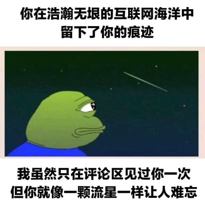图片上方文字为'你在浩瀚无垠的互联网海洋中留下了你的痕迹'，中间是卡通角色Pepe the Frog（悲伤蛙）的侧脸形象，背景为深色夜空，有一颗流星划过。下方文字为'我虽然只在评论区见过你一次但你就像一颗流星一样让人难忘'。整体通过Pepe仰望流星的画面，将互联网评论区中偶然遇见的用户比喻为短暂却令人印象深刻的流星，表达对网络相遇的感慨。