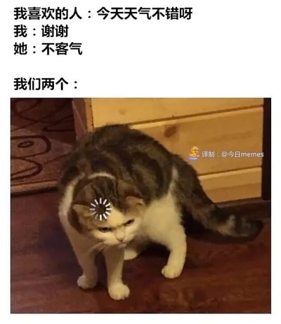 这是一张图文混排的搞笑梗图，上方文字呈现了一段充满尴尬的无效对话：喜欢的人开启话题说“今天天气不错呀”，“我”却错误地回复了“谢谢”，对方顺着回应“不客气”，这段对话完全偏离了正常的社交逻辑，陷入了无意义的尴尬闭环。下方搭配了一只表情烦躁、神态无语的猫咪，猫咪头上还被添加了类似电脑死机的转圈图案，四肢撑地姿态僵硬，完美诠释了对话结束后两人内心的社死、尴尬与无语的情绪，精准戳中了人们在社交场合中因接话失误而陷入窘境的共鸣点。