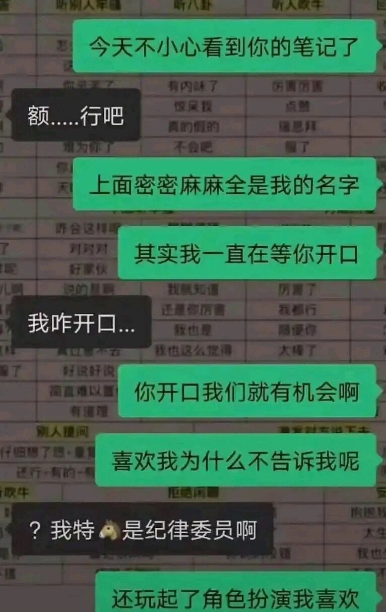 纪律委员