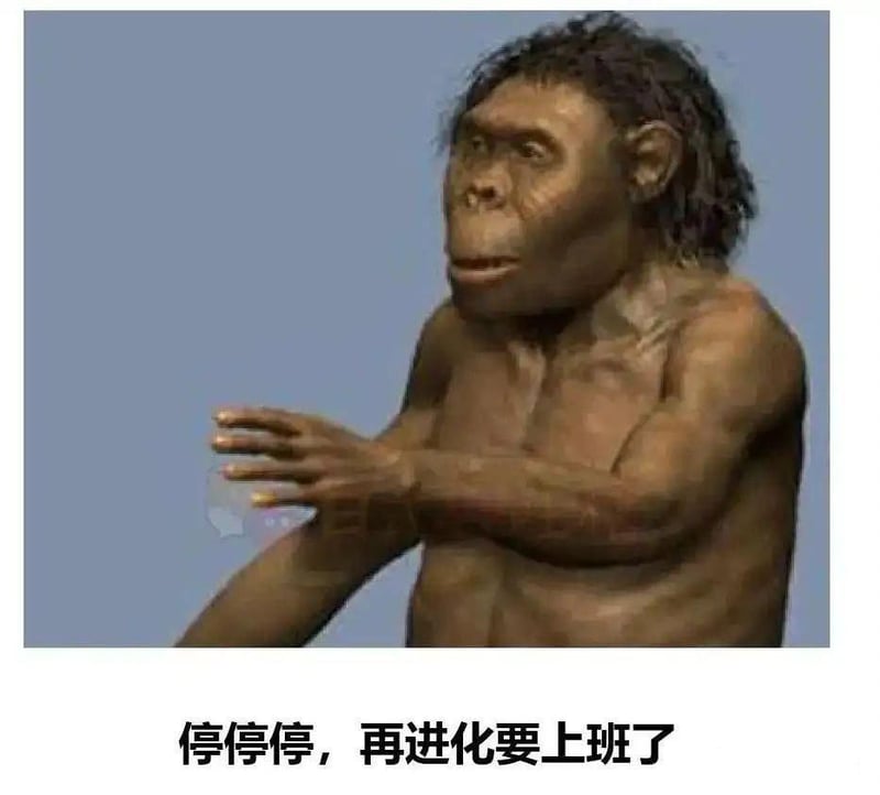 古人类科普建模