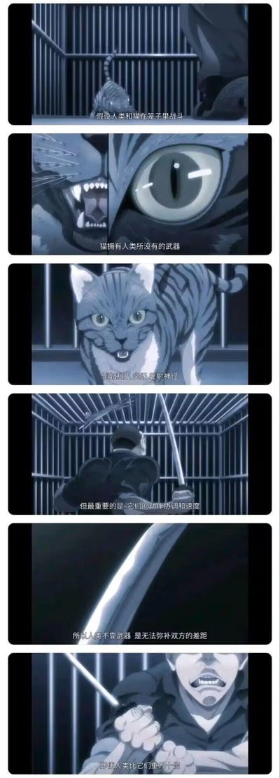 这是一组来自日本动画的连环截图，通过假设「人类和猫在笼子里战斗」的场景，逐步阐述猫的天生战斗优势：拥有利爪、尖牙、超强反射神经，更关键的是动作协调与速度；最后点明，人类哪怕体重是猫的几十倍，不靠武器也无法弥补与猫的战斗差距，画面中持长刀的人类与笼中凶狠的拟人化猫形成紧张的对峙感，用这个比喻来强调工具在弥补天生差距中的重要性。