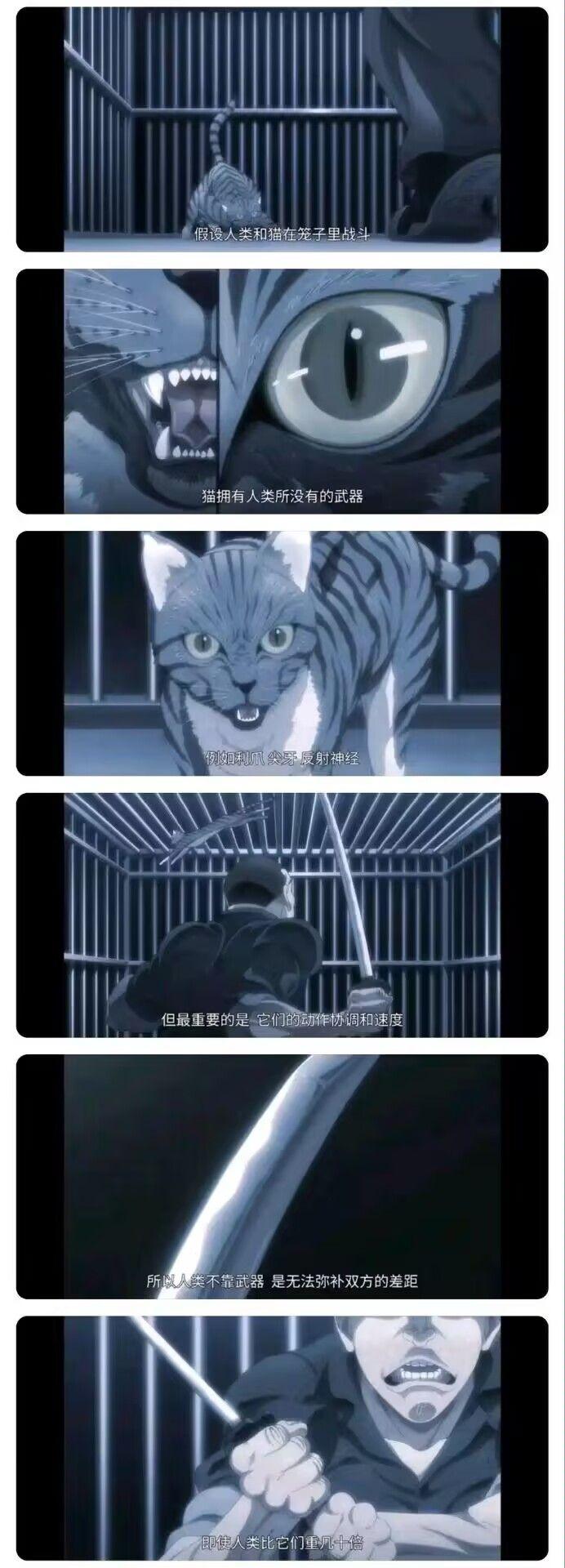 攻壳机动队