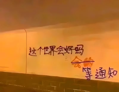 图片展示了一面墙，上面有手写的中文文字：'这个世界会好吗'，下方有被划掉的'会的'，以及'等通知'三个字。背景呈现橙黄色调，可能是在日落时分拍摄。