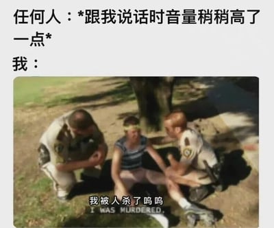 图片上方文字描述场景：“任何人：*跟我说话时音量稍稍高了一点* 我：”，下方是一张照片，两名警察蹲在地上关切地询问一名坐在地上的人，该人带着夸张的委屈表情哭诉“我被人杀了呜呜”（英文“I WAS MURDERED.”）。通过夸张的对比，幽默地表现了对他人稍大音量说话过度敏感、反应过激的状态。