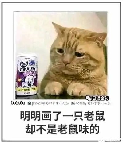 这是一张图文混排的搞笑梗图，画面主体是一只表情委屈、眼神低垂的橘猫，它的前爪搭在桌面上，趴在桌边。橘猫左侧放置着一罐蓝莓味饮料，罐身上印有迪士尼动画角色米妮的形象，同时标注有日文和英文“BLUEBERRY”字样。图片右下角有“日语金句”的水印，左下角标注有“bekata photo by ちいずすこんぶ odai by ちいずすこんぶ”的文字。图片下方配有中文吐槽文字：“明明画了一只老鼠 却不是老鼠味的”，以橘猫的视角进行拟人化吐槽，因为米妮是老鼠形象，但饮料是蓝莓味而非“老鼠味”，这种无厘头的反差搭配橘猫委屈的表情，制造出滑稽搞笑的效果。