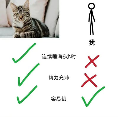 图片左侧是一只虎斑猫趴在沙发上，眼神平静；右侧是一个简笔画小人，标注“我”。下方有三项对比：“连续睡满6小时”猫咪处打绿色对勾，“我”处打红色叉号；“精力充沛”猫咪处打绿色对勾，“我”处打红色叉号；“容易饿”猫咪和“我”处均打绿色对勾。通过猫咪与“我”在睡眠、精力和饥饿感上的反差，幽默展现现代人睡眠不足、精力不济但容易饿的生活状态。