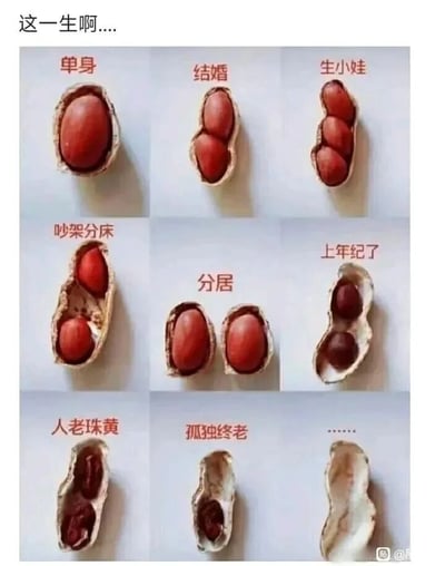 这是一张九宫格形式的静态图，创作者用不同状态的花生拟人化映射人生的各个阶段，生动又形象：第一行从左到右，单粒完整的花生对应“单身”阶段，两粒花生共处一个壳内对应“结婚”，三粒花生在壳内对应“生小娃”；第二行，壳内两粒花生分开摆放对应“吵架分床”，花生壳完全分成两个、各自包裹一粒花生对应“分居”，壳内两粒干瘪的花生对应“上年纪了”；第三行，壳内只剩干瘪发黑的花生残留对应“人老珠黄”，空壳里只有少量发黑残留对应“孤独终老”，最后一个只剩空花生壳对应人生的终点“......”。整张图用日常可见的花生形态变化，将人生从单身到终老的过程具象化，充满趣味又容易引发大众对人生阶段的情感共鸣。