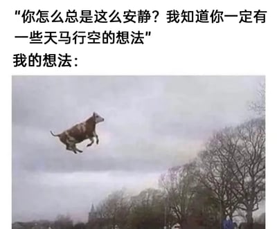图片上方配有文字：'你怎么总是这么安静？我知道你一定有一些天马行空的想法'，下方接'我的想法：'并配上一张奶牛在空中飞行的照片。通过这种反差幽默地表现出外表安静的人内心可能有着荒诞离奇的想法，用会飞的奶牛形象具象化了'天马行空'的概念，营造出轻松搞笑的效果。