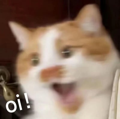 一张橘白相间的猫的特写照片，猫的表情看起来非常惊讶，嘴巴张开，眼睛睁大。图片有明显的运动模糊效果，似乎捕捉了猫快速移动或突然做出表情的瞬间。左下角有白色文字"oi!"，增强了猫似乎在大喊的感觉。背景是模糊的深色，可能是室内环境。