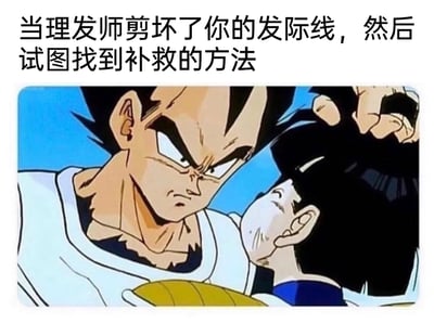 这是一张结合了经典动画截图与吐槽文字的搞笑梗图，上方配文“当理发师剪坏了你的发际线，然后试图找到补救的方法”，下方是《龙珠Z》的动画截图，图中贝吉塔表情严肃，双手抓着孙悟饭的头发，将悟饭的脸按向自己的额头，用悟饭的头发来遮挡自己被剪坏的过高发际线，用动漫里的这个动作来调侃理发师剪坏发际线后，用离谱方式补救的尴尬场面，精准戳中人们理发翻车的社死体验，十分幽默。