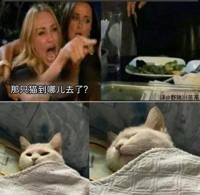 这是一张多图拼接的连环搞笑梗图，上半部分呈现两位表情激动的女性，其中一位手指前方、张嘴大喊，配文“那只猫到哪儿去了？”，旁边还有摆放着剩菜的餐桌场景，营造出焦急找猫的氛围；下半部分展示两只白猫，一只露出半张脸，另一只惬意地把脸埋在毛巾里，它们就藏在毛巾下方，正好对应上半部分找猫的疑问，形成了强烈的反差笑点——苦苦寻找的猫其实就在眼前，用这种错位的场景幽默还原了“找东西时，目标就在眼前却没发现”的日常窘境，让人觉得滑稽又共鸣。