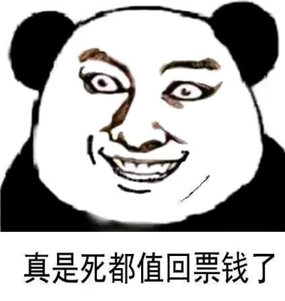 这是一张P图改编的熊猫头表情包，将真人的滑稽夸张脸与熊猫头形象合成，下方配文“真是死都值回票钱了”，用来夸张地表达对某件事物（如精彩演出、震撼体验等）的极度满意，认为付出的成本完全值得，情绪表达搞笑且强烈，符合网络表情包的年轻化夸张风格。