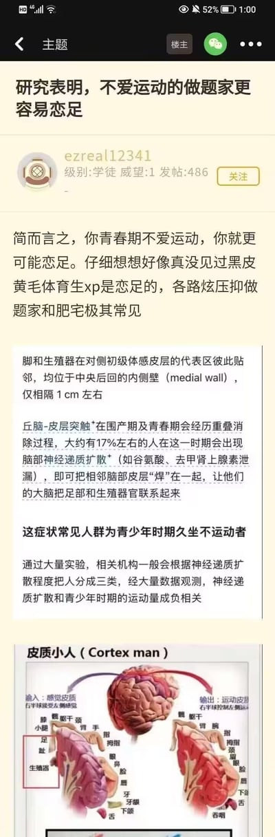 这是一张社交媒体截图，展示了一篇标题为“研究表明，不爱运动的做题家更容易恋足”的帖子。帖子作者ezreal12341声称通过“研究”发现青春期不爱运动的学生（做题家）更容易产生恋足倾向，并试图用所谓的脑科学知识来支持这一荒谬结论，称足部和生殖器官在大脑皮层的代表区相邻，久坐不运动会导致神经递质扩散，从而将两者联系起来。帖子下方配有一张标注了大脑皮层区域的示意图。
