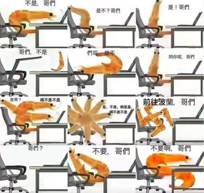 暂无描述