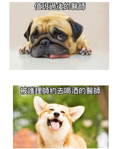 图片为上下拼接的双图对比，上方是一只巴哥犬趴在白色平面上，眼神疲惫，舌头耷拉着，配文“值班過後的醫師”，展现医生值班后的劳累状态；下方是一只柯基犬在绿色背景前，耳朵竖起，嘴巴张开露出舌头，表情兴奋，配文“被護理師約去喝酒的醫師”，幽默对比医生在不同情境下的情绪变化。