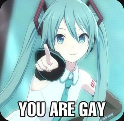 本图是一张以初音未来为主角的梗图。画面中初音未来举手指指向前方，搭配下方的英文大字“YOU ARE GAY”。这类梗图通常用以进行善意或半开玩笑的调侃，风格轻松幽默。因为指向性的语句配合动漫人物的动作，常见于网络玩梗、互相调侃的语境中。该梗图存在双关性质，使用“你是gay”既有直接含义，也常作为网络用语演变为无特指人群的幽默用词。字幕使用英文增加了国际化氛围。