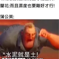 这是一张二次创作的动画梗图，使用《超人总动员》中超能先生愤怒的经典画面，搭配种花相关的对话制造反差笑点。图中上方是菊花的要求：“而且温度也要刚好才行！”，下方是蒲公英摆烂式的回应：“*水泥就是土！*”，用超能先生愤怒的神态来强化这种不管规则、破罐子破摔的搞笑感，整体风格诙谐有趣。