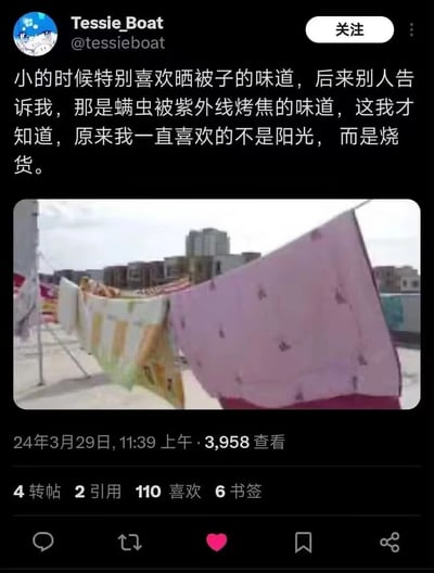 社交媒体用户Tessie_Boat发布的一条幽默帖子，内容讲述小时候喜欢晒被子的味道，后来得知是螨虫被紫外线烤焦的味道，调侃自己喜欢的不是阳光而是“烧货”。配图为屋顶晾晒的一排被子，有粉色、黄色等多种颜色，背景可见高楼建筑。