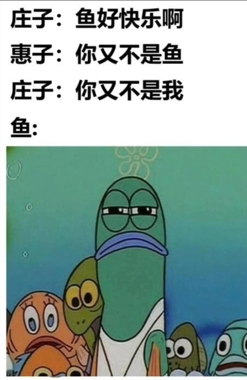 路人鱼